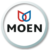 Moen tankless water heaters